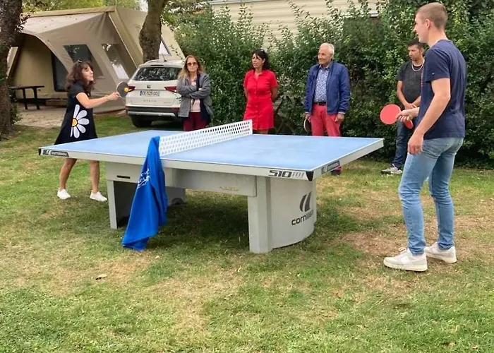 Kemp 3 Etoiles - Piscine - Ccaihff